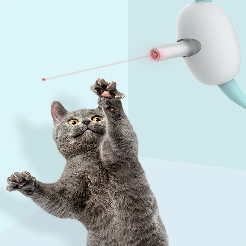 Cat Laser Collar – Interactive LED Laser Dot Collar for Cats