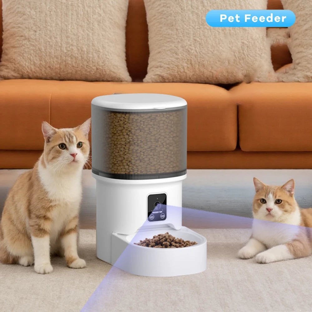 4L Visual Automatic Cat Feeder - Timed Pet Food Dispenser with Anti - Jam Design - Petmelove