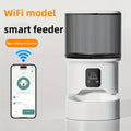 4L Visual Automatic Cat Feeder - Timed Pet Food Dispenser with Anti - Jam Design - Petmelove