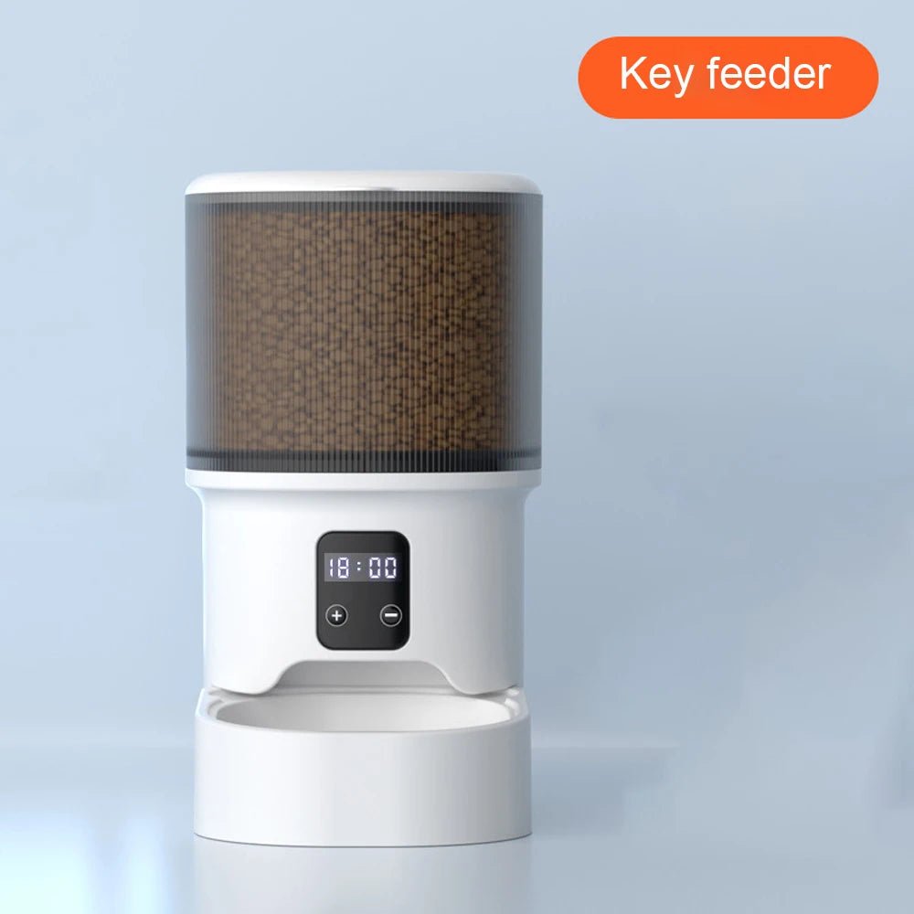 4L Visual Automatic Cat Feeder - Timed Pet Food Dispenser with Anti - Jam Design - Petmelove