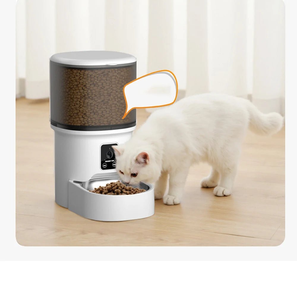4L Visual Automatic Cat Feeder - Timed Pet Food Dispenser with Anti - Jam Design - Petmelove