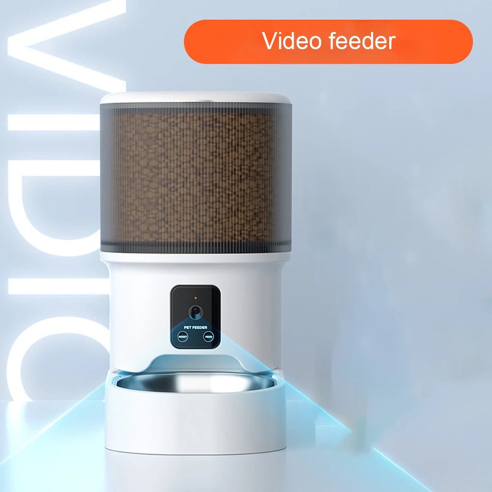 4L Visual Automatic Cat Feeder - Timed Pet Food Dispenser with Anti - Jam Design - Petmelove