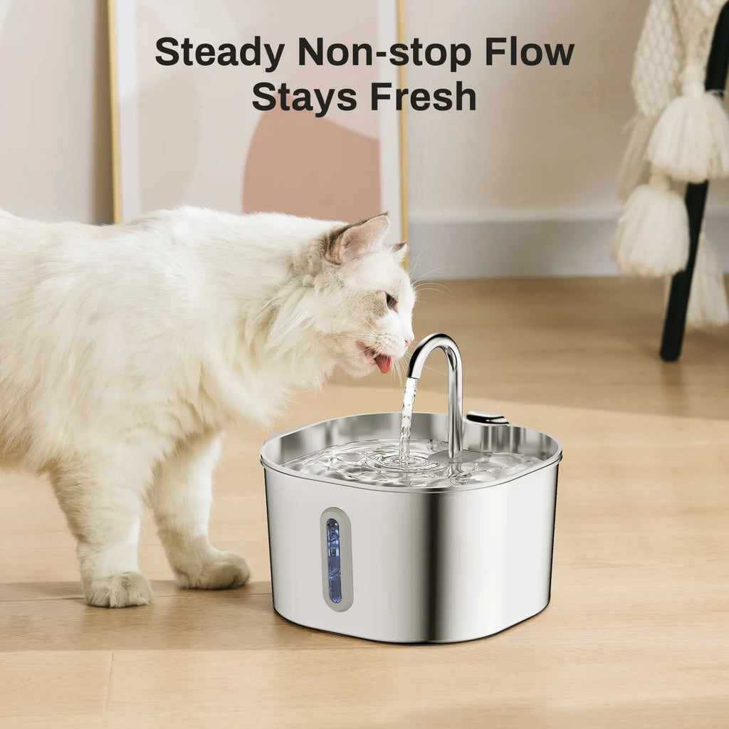 ZYFeeder 2.2L Stainless Steel Cat Water Fountain - Automatic Pet Drinking Fountain with Window
