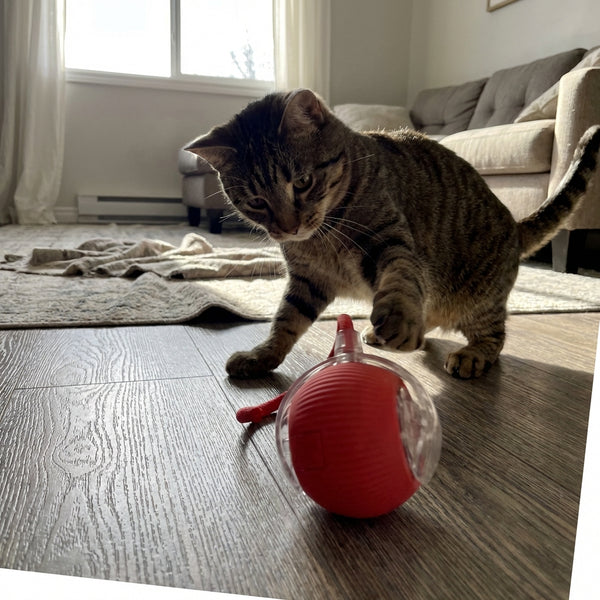 Kluck AI Happy Customer Image 11