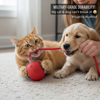 Kluck AI Product Highlight 1