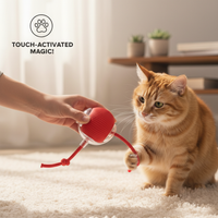 Kluck AI Product Highlight 2