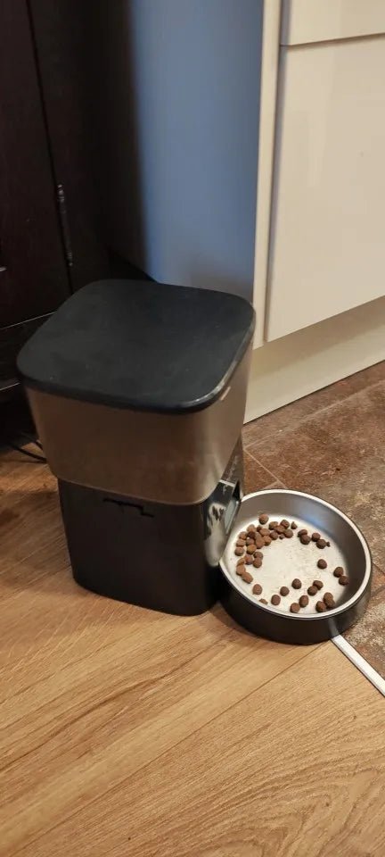 ROJECO 2L Smart Automatic Pet Feeder with Button Control - Petmelove