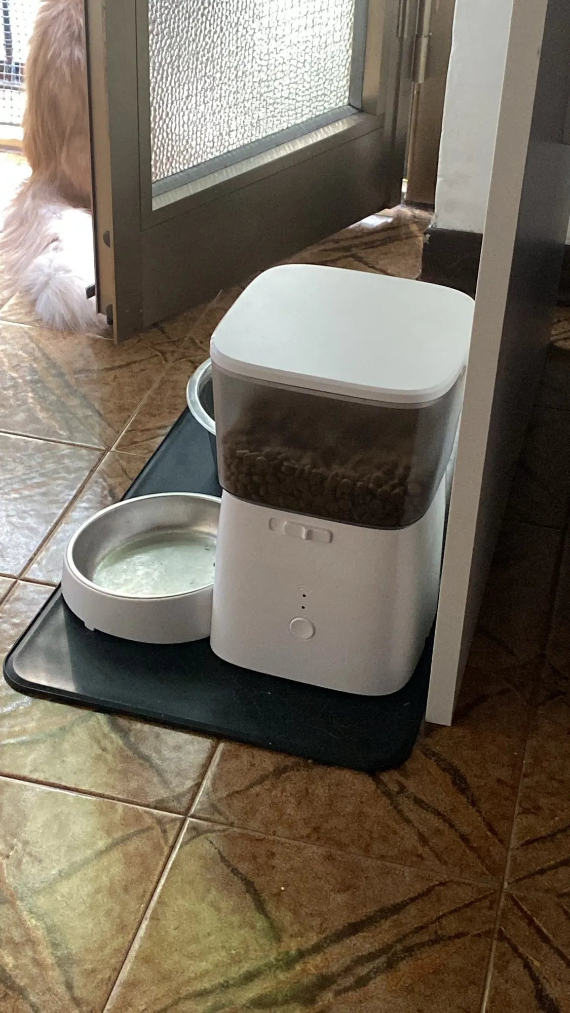 ROJECO 2L Smart Automatic Pet Feeder with Button Control - Petmelove