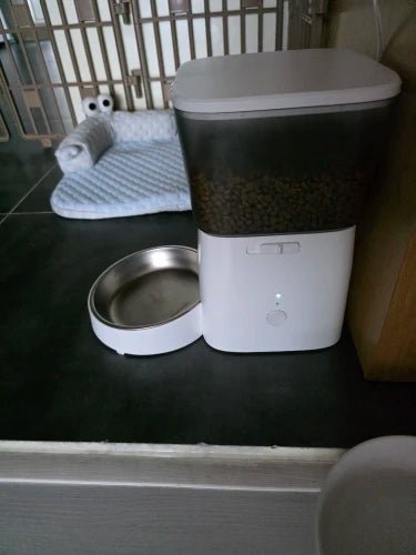 ROJECO 2L Smart Automatic Pet Feeder with Button Control - Petmelove